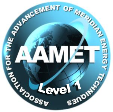 AAMET-Level 1 In der AAMET sind die weltweit besten EFT-Trainer und -Master organisiert